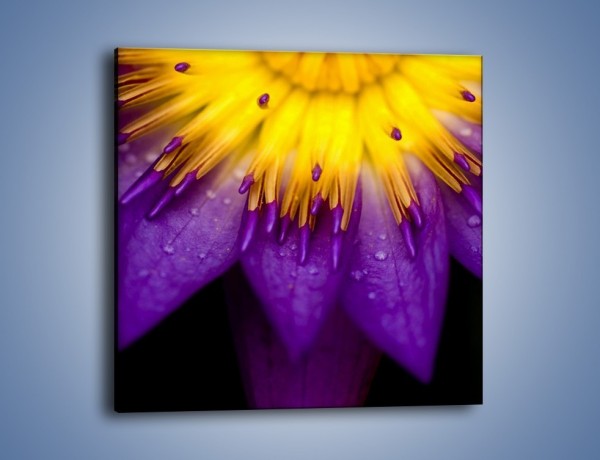 Obraz na płótnie – Baśniowy kwiat z tajemnicą – jednoczęściowy kwadratowy K189