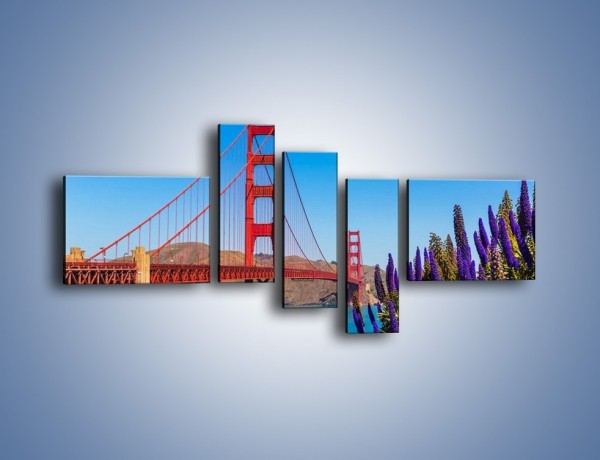 Obraz na płótnie – Golden Gate pod błękitnym niebem – pięcioczęściowy AM644W5