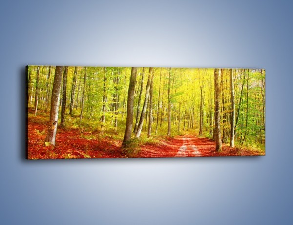 Obraz na płótnie – Brzózki liście i las – jednoczęściowy panoramiczny KN1345A