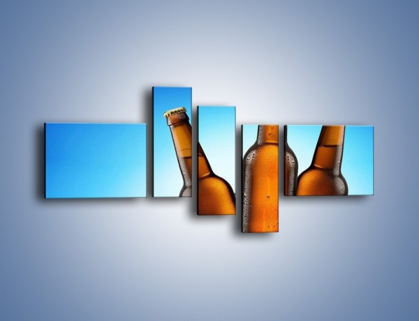 Obraz na płótnie – Szron na butelkach piwa – pięcioczęściowy JN075W5