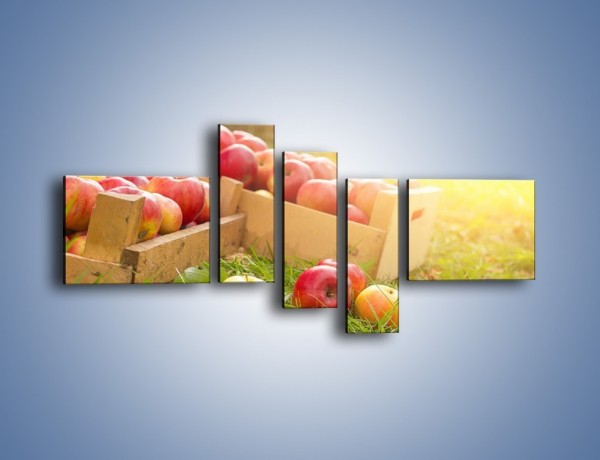 Obraz na płótnie – Jabłka skąpane w trawie – pięcioczęściowy JN628W5
