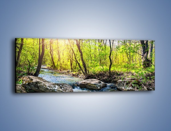 Obraz na płótnie – Opuszczony las wiosną – jednoczęściowy panoramiczny KN1350A