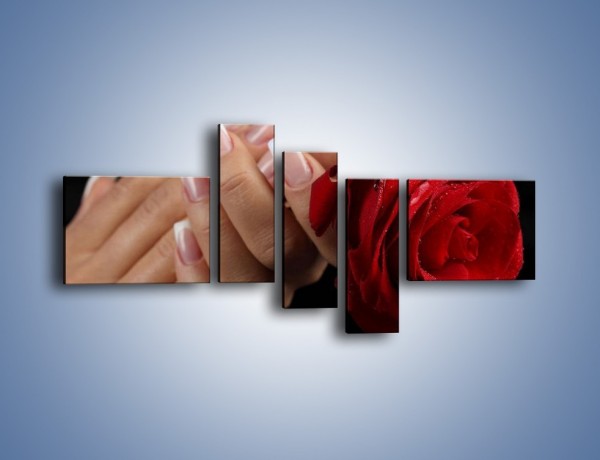 Obraz na płótnie – Kwiat róży w kobiecych dłoniach – pięcioczęściowy K006W5