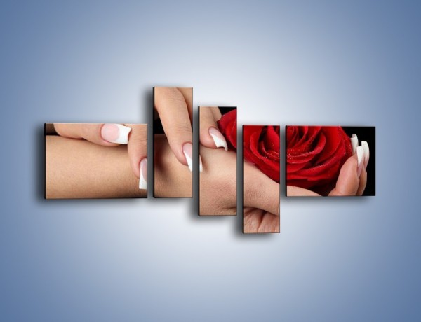 Obraz na płótnie – Czerwona róża w dłoni – pięcioczęściowy K037W5