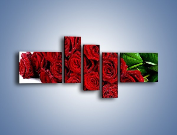 Obraz na płótnie – Oszronione czerwone róże – pięcioczęściowy K047W5