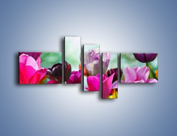 Obraz na płótnie – Tulipany o poranku – pięcioczęściowy K081W5
