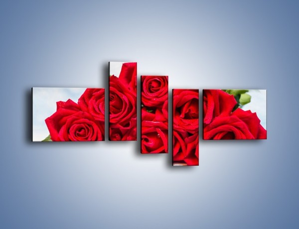 Obraz na płótnie – Czerwone róże bez kolców – pięcioczęściowy K1021W5
