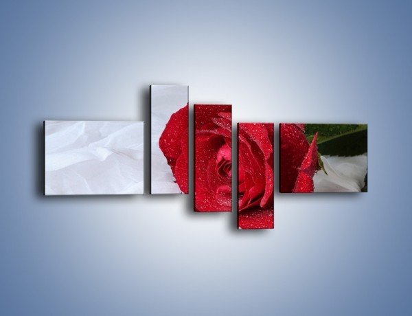 Obraz na płótnie – Bordowa róża na białej pościeli – pięcioczęściowy K1023W5