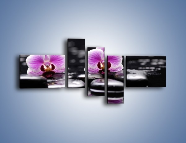 Obraz na płótnie – Duet kwiatowy i czarna woda – pięcioczęściowy K1029W5