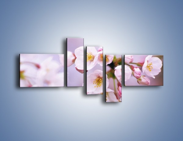 Obraz na płótnie – Gałązka kwiatów jabłoni – pięcioczęściowy K102W5