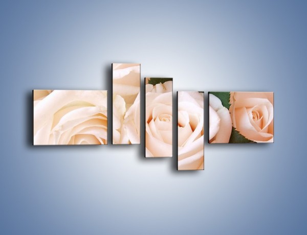 Obraz na płótnie – Liść wśród bezowych róż – pięcioczęściowy K104W5