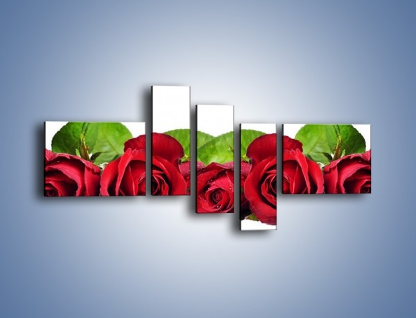Obraz na płótnie – Pięknie ułożone róże – pięcioczęściowy K108W5