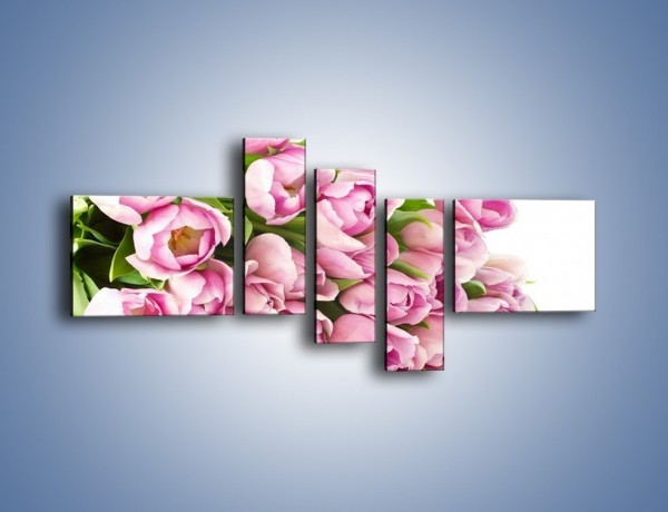 Obraz na płótnie – Ścięte tulipany w bieli – pięcioczęściowy K110W5