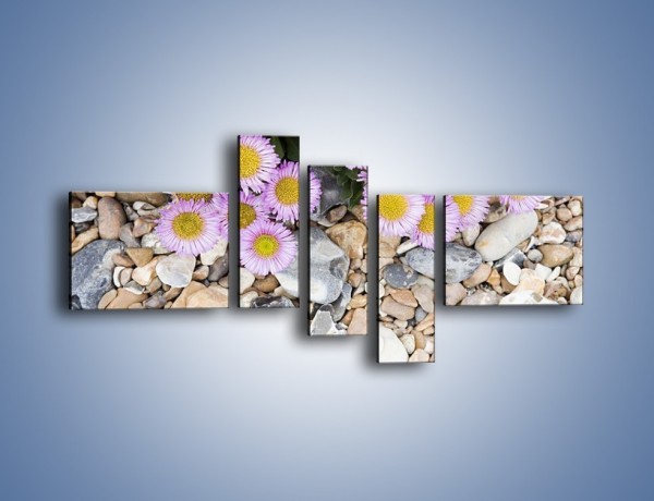 Obraz na płótnie – Kolorowe kamienie czy małe kwiatuszki – pięcioczęściowy K146W5