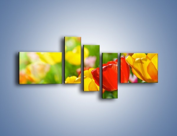 Obraz na płótnie – Wiosenne piękno w tulipanach – pięcioczęściowy K213W5
