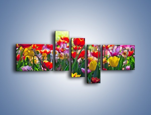 Obraz na płótnie – Odpoczynek wśród tulipanów – pięcioczęściowy K218W5
