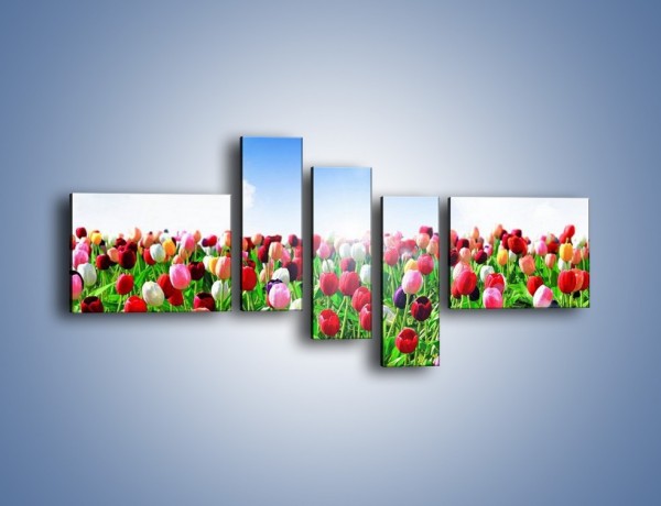 Obraz na płótnie – Droga do nieba z tulipanami – pięcioczęściowy K219W5