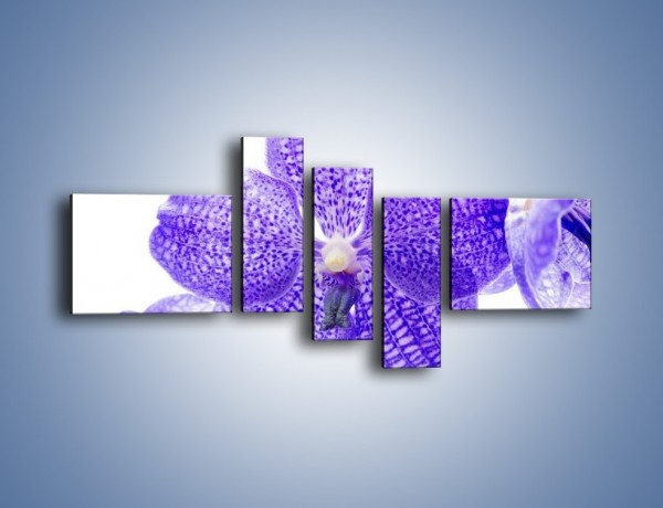Obraz na płótnie – Jasny fiolet rządzi w kwiatach – pięcioczęściowy K259W5