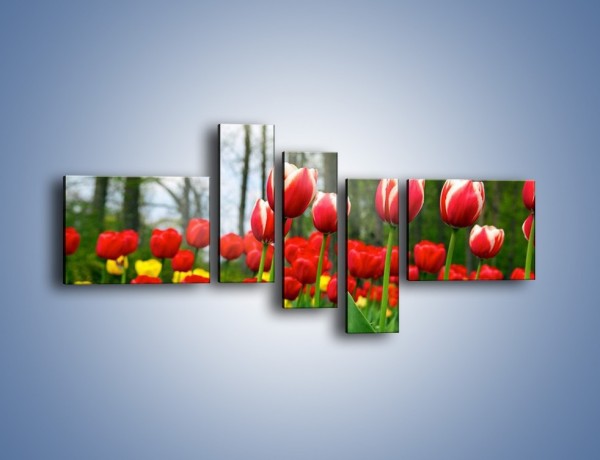 Obraz na płótnie – Leśna polana pełna tulipanów – pięcioczęściowy K319W5