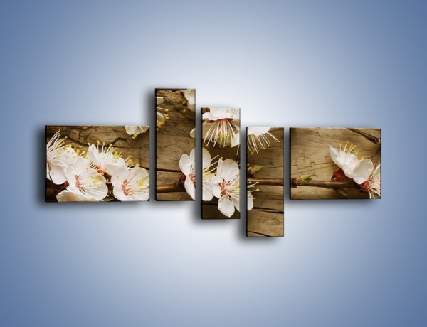 Obraz na płótnie – Kwiat jabłoni leżący na desce – pięcioczęściowy K327W5