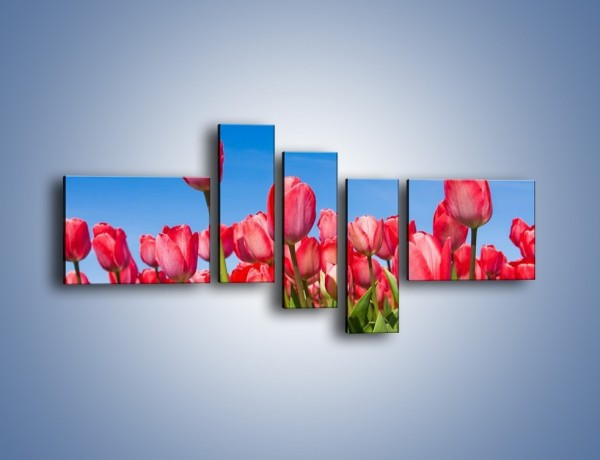 Obraz na płótnie – Tulipany czerwone jak nigdy – pięcioczęściowy K345W5