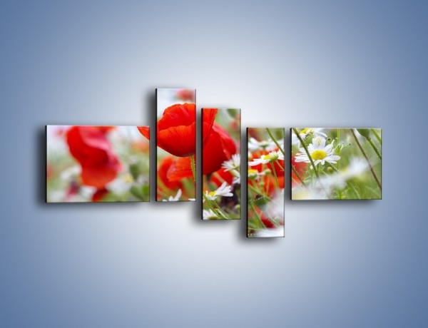 Obraz na płótnie – Polana pełna kwiatów – pięcioczęściowy K371W5