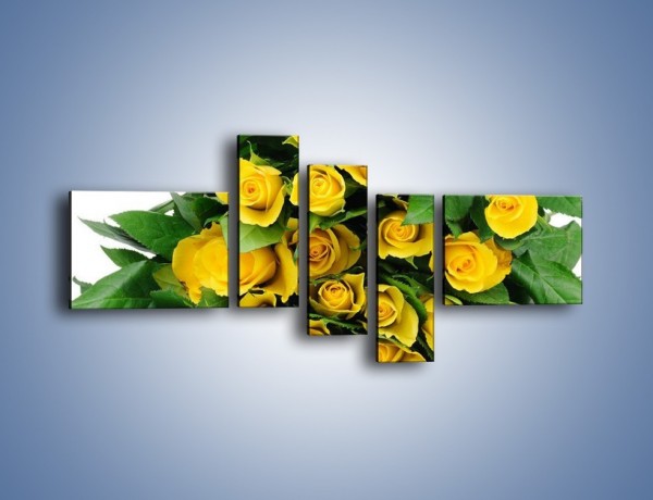 Obraz na płótnie – Wiosenny uśmiech w różach – pięcioczęściowy K379W5