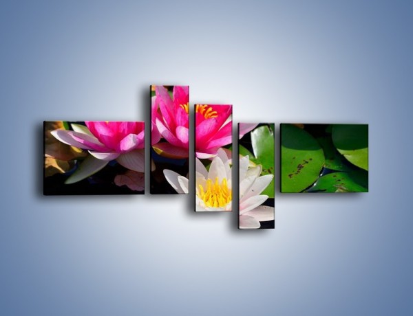 Obraz na płótnie – Pływające kwiaty – pięcioczęściowy K392W5