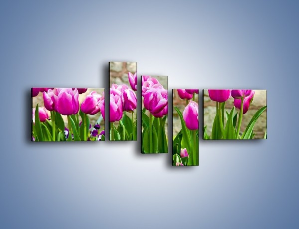 Obraz na płótnie – Tulipany w domowym ogródku – pięcioczęściowy K409W5