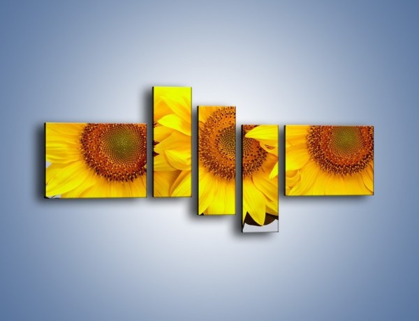 Obraz na płótnie – Najpiękniejsza odsłona słoneczników – pięcioczęściowy K416W5