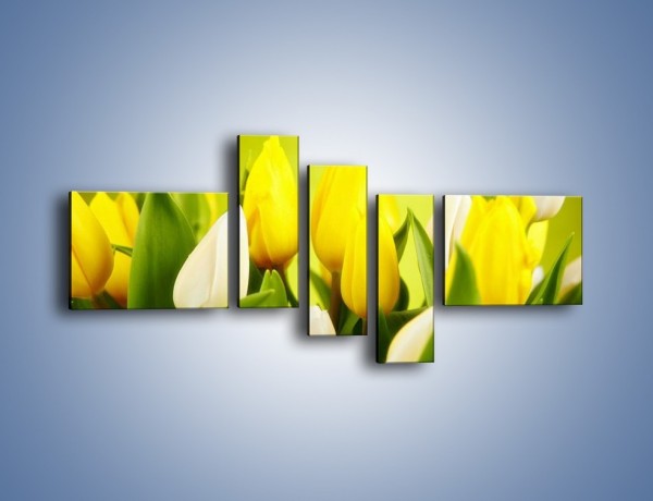 Obraz na płótnie – Nie tylko tulipany – pięcioczęściowy K425W5