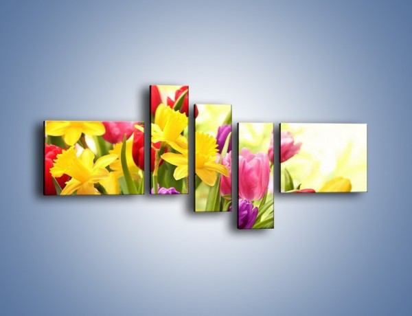 Obraz na płótnie – Żonkile wśród tulipanów – pięcioczęściowy K430W5