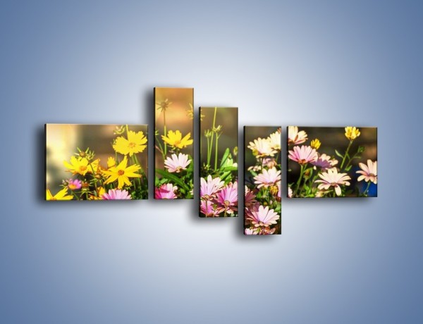 Obraz na płótnie – Polne kwiaty z uśmiechem – pięcioczęściowy K456W5