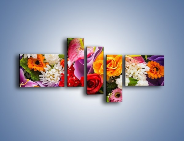 Obraz na płótnie – Kwiaty w kolorze tęczy – pięcioczęściowy K462W5