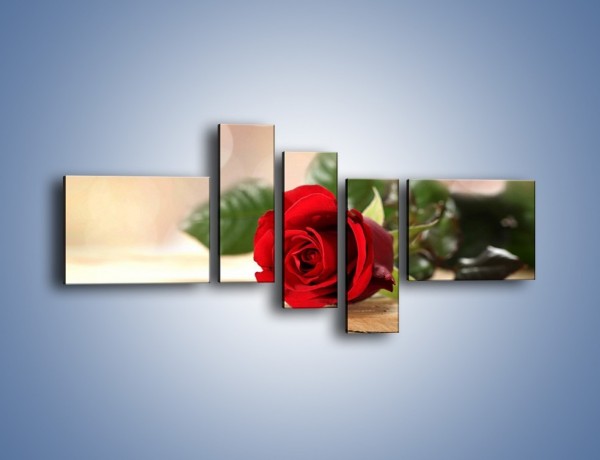 Obraz na płótnie – Stęskniona róża – pięcioczęściowy K505W5