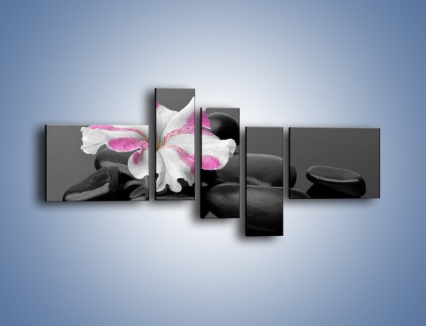 Obraz na płótnie – Czarna tafla z kwiatem – pięcioczęściowy K520W5