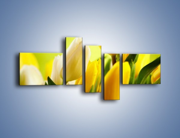 Obraz na płótnie – Żółta historia o kwiatach – pięcioczęściowy K553W5