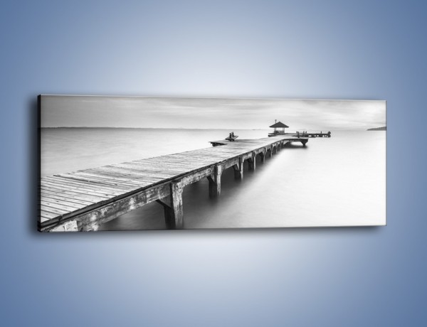 Obraz na płótnie – Most w sepii – jednoczęściowy panoramiczny KN1355A