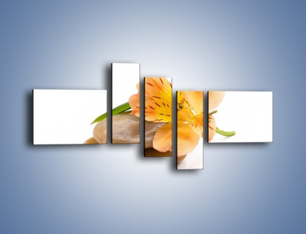 Obraz na płótnie – Kwiat jak mango – pięcioczęściowy K631W5