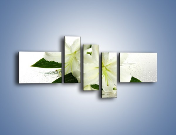 Obraz na płótnie – Niewinność białej lilii – pięcioczęściowy K632W5