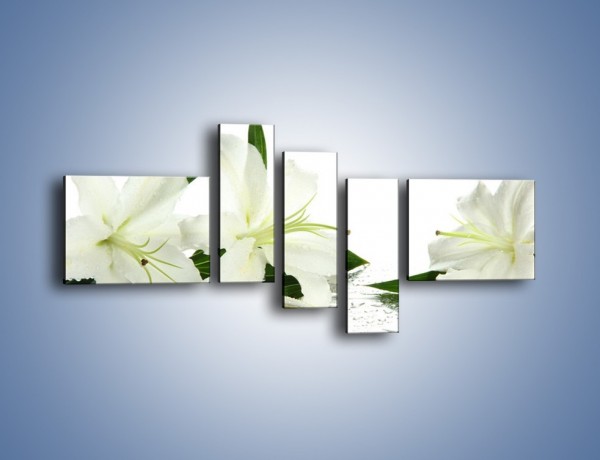 Obraz na płótnie – Czysta biel kwiatów – pięcioczęściowy K633W5