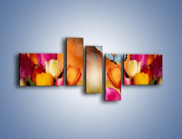 Obraz na płótnie – Motyl wśród tulipanów – pięcioczęściowy K635W5