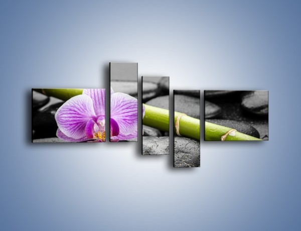 Obraz na płótnie – Bambus czy storczyk – pięcioczęściowy K686W5