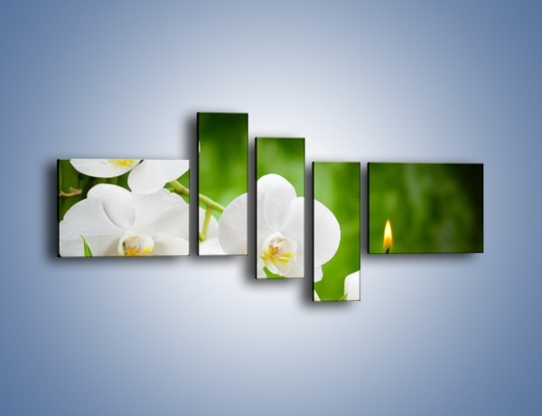 Obraz na płótnie – Odpoczynek przy kwiatach – pięcioczęściowy K714W5