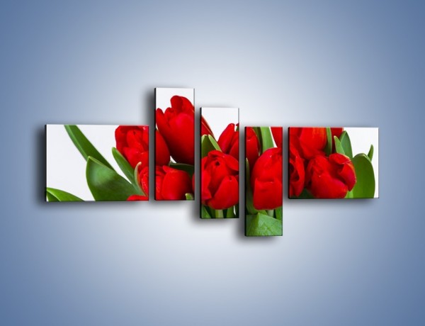 Obraz na płótnie – Tulipany na dzień kobiet – pięcioczęściowy K740W5