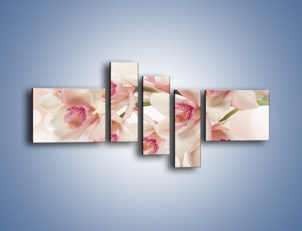 Obraz na płótnie – Szlachetne różowe storczyki – pięcioczęściowy K756W5