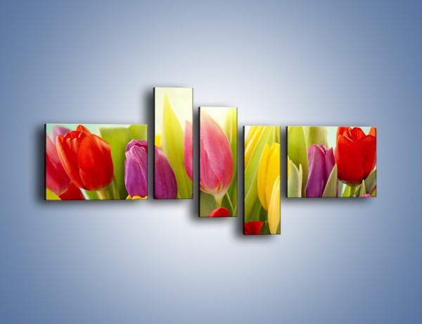 Obraz na płótnie – Tulipany w pierwszym rzędzie – pięcioczęściowy K760W5