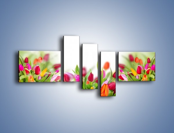 Obraz na płótnie – Tulipanowe bukieciki – pięcioczęściowy K763W5