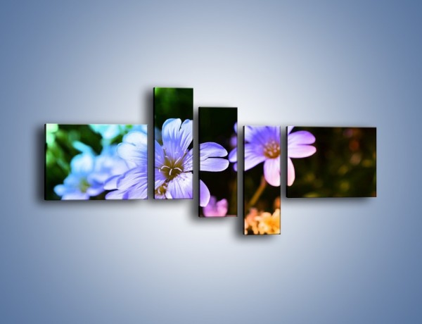 Obraz na płótnie – Niebieskie główki kwiatuszków – pięcioczęściowy K769W5