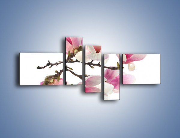 Obraz na płótnie – Wirujące kwiaty magnolii – pięcioczęściowy K781W5